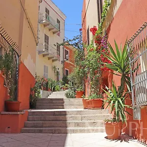 Margherita , La Maddalena (Sassari) Italia